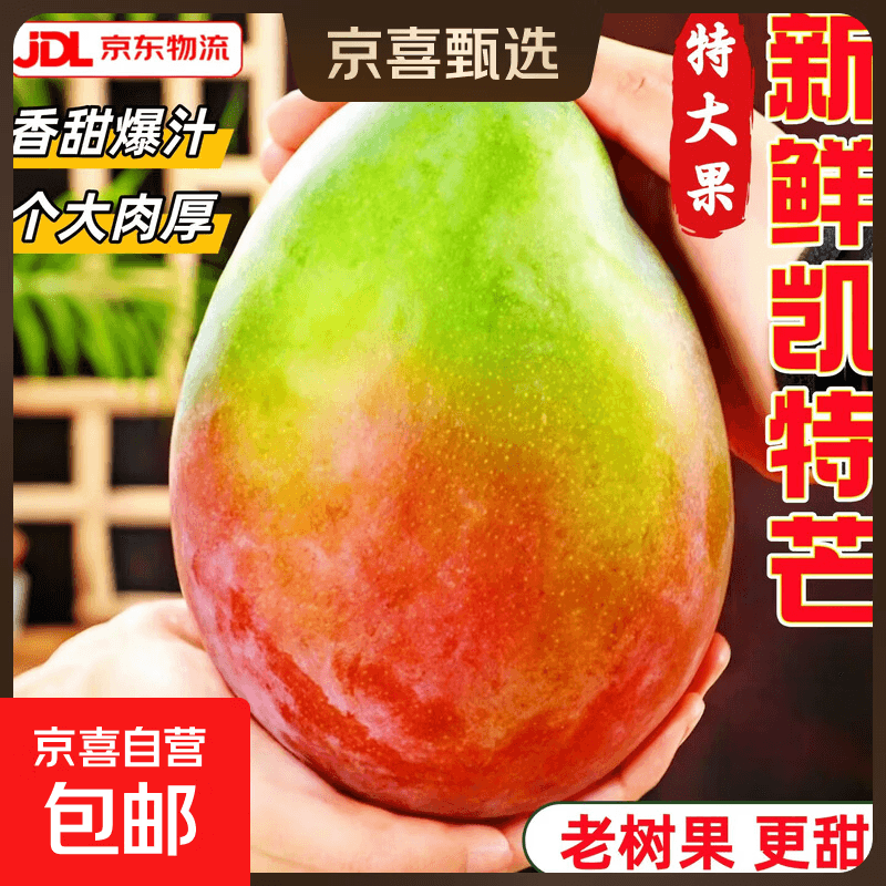 凯特芒大芒果新鲜水果当季整箱云南芒果甜青皮大澳芒现摘京东包邮 【大果】单果400g+ 【带箱9斤】超值划算 - 商品图1