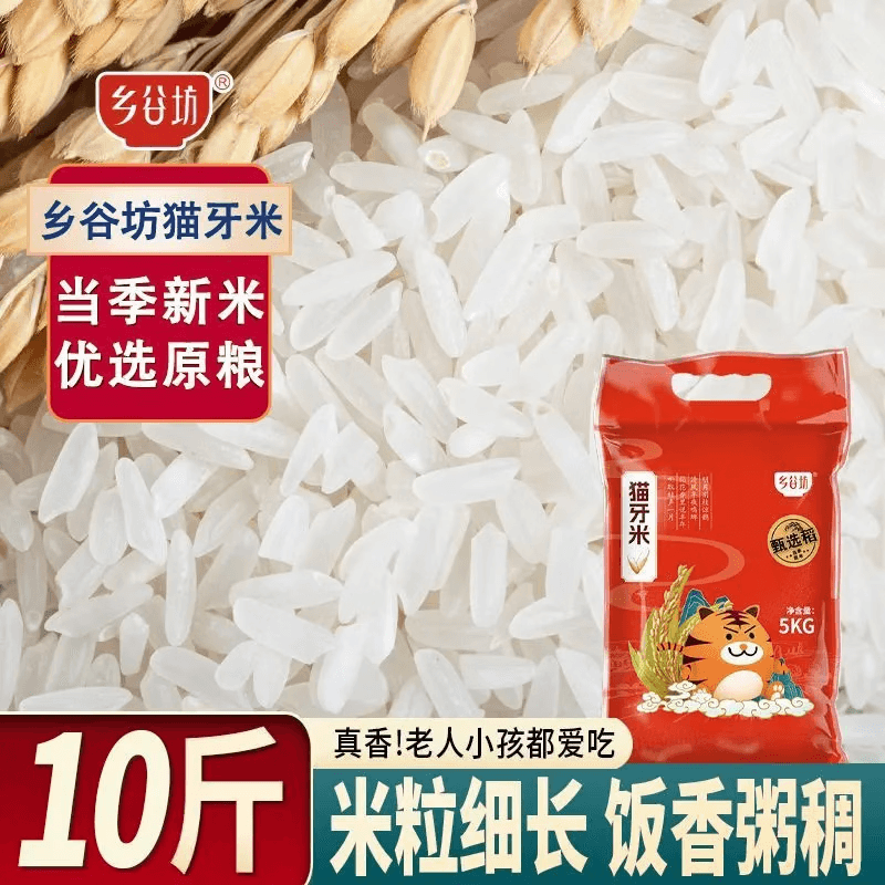 【粒粒甄选】乡谷坊5kg10斤猫牙米长粒香大米季米丝苗米煲仔饭CB 乡谷坊甄选稻猫牙米10斤 - 商品图1