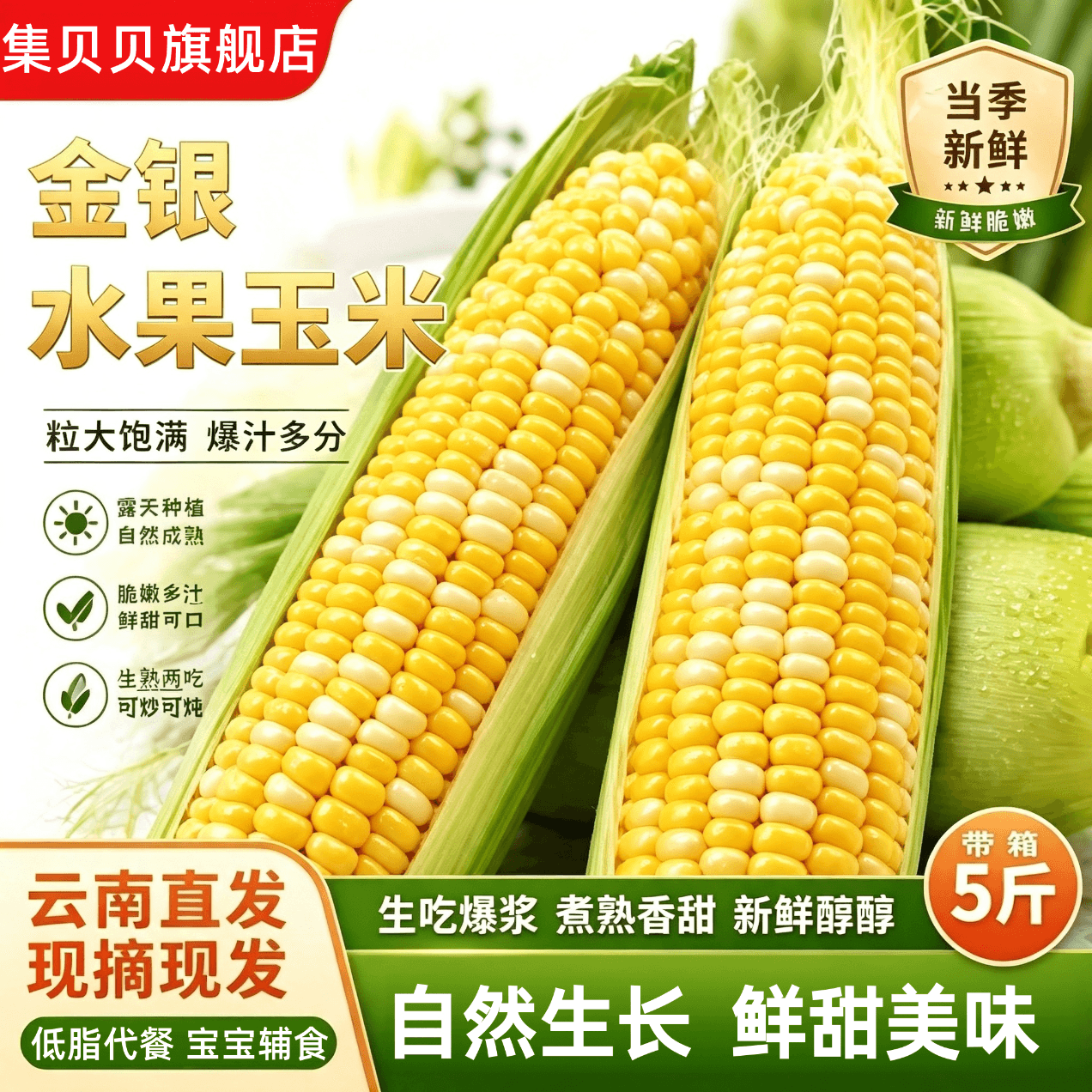 云南金银水果玉米甜糯新鲜金银玉米粒甜玉米云南玉米鲜糯玉米B 水果玉米5斤【单根220g+】——净重4.5斤 - 商品图1