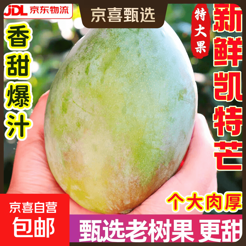 正宗四川凯特大芒果新鲜应季水果澳芒青整箱包邮特大青果当季现摘 【大果】单果400g+ 【带箱9斤净重8斤】超值划算 - 商品图1