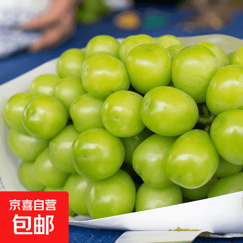 云南阳光玫瑰青提晴王葡萄新鲜采摘 源头直发 净重3-3.6斤 单果6g - 商品图1