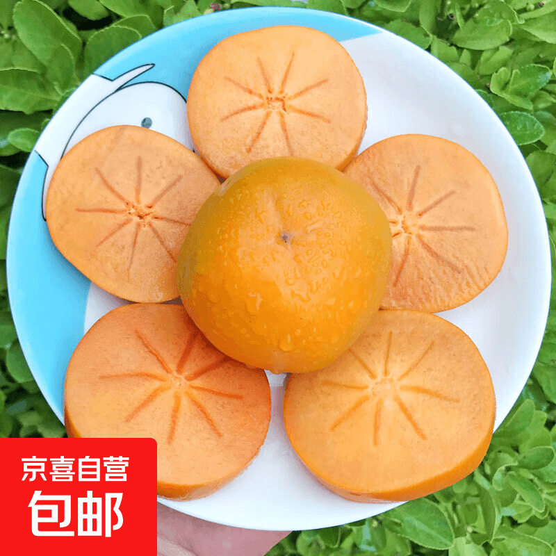 京喜加脆柿子脆甜正宗新鲜应季水果现摘硬柿黄柿脆皮巧克力柿子整箱批发 净重4.5斤装单果120g+ - 商品图1