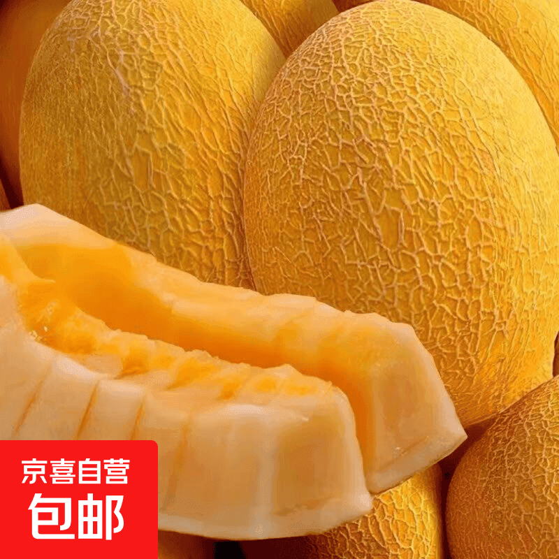 新鲜头茬金色年华黄金哈密瓜当季新鲜水果哈密瓜 8-9斤装 - 商品图1