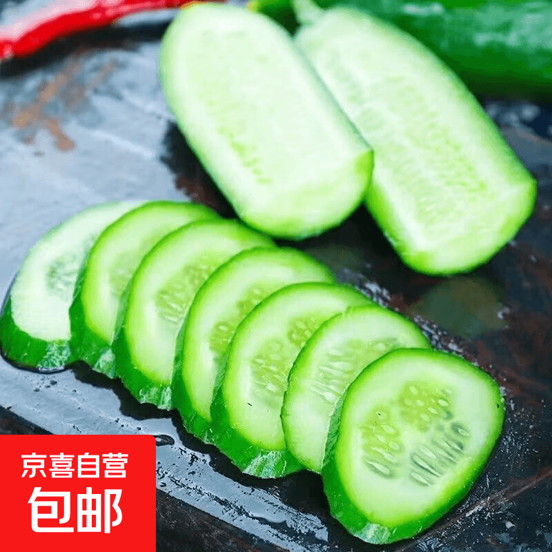 京喜加寿光水果黄瓜山东原产地无刺爽口清脆小黄瓜即食低卡新鲜包邮 无刺小黄瓜2斤带箱 - 商品图1