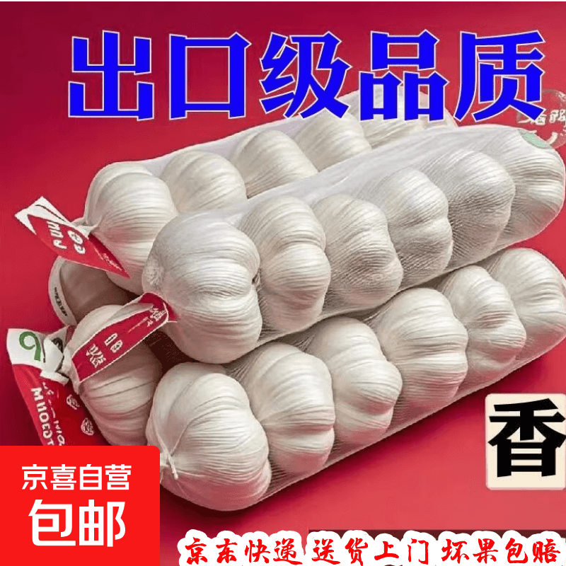 大蒜头出口品质网兜紫蒜蔬菜调料新鲜大果烧烤火锅食材 山东【精品网兜装】6头装 净重180g - 商品图1