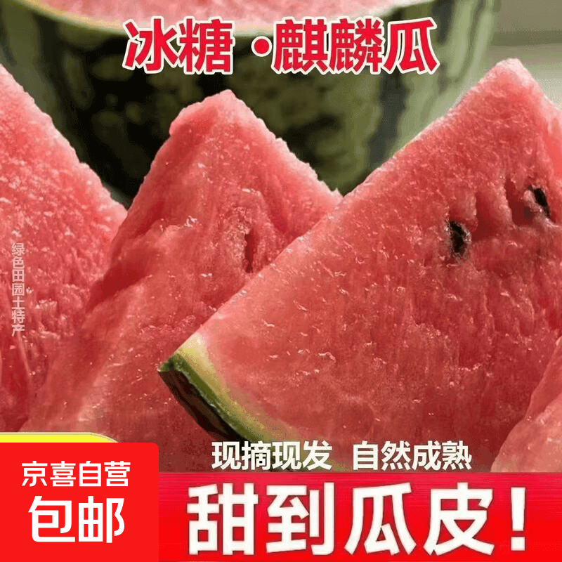 【麒麟瓜】黑籽白籽现摘新鲜水果薄皮鲜果农家自种西瓜脆甜沙瓤 6-8斤【农家自种 现摘脆甜】 - 商品图1