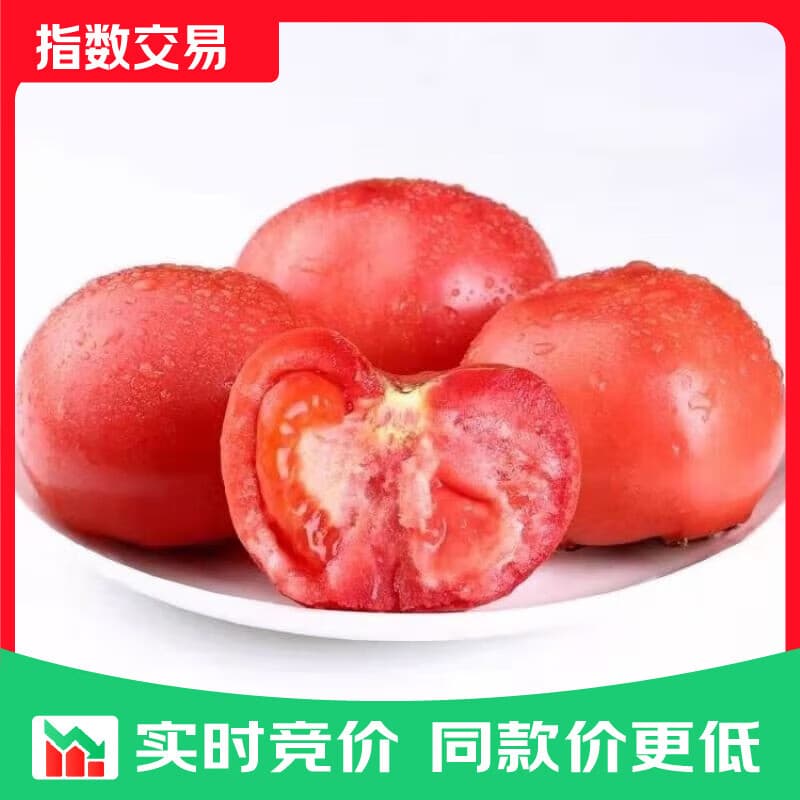 新鲜沙瓤番茄生吃西红柿减肥早餐即食新鲜蔬菜生鲜 囤货装 5斤 带箱 - 商品图1
