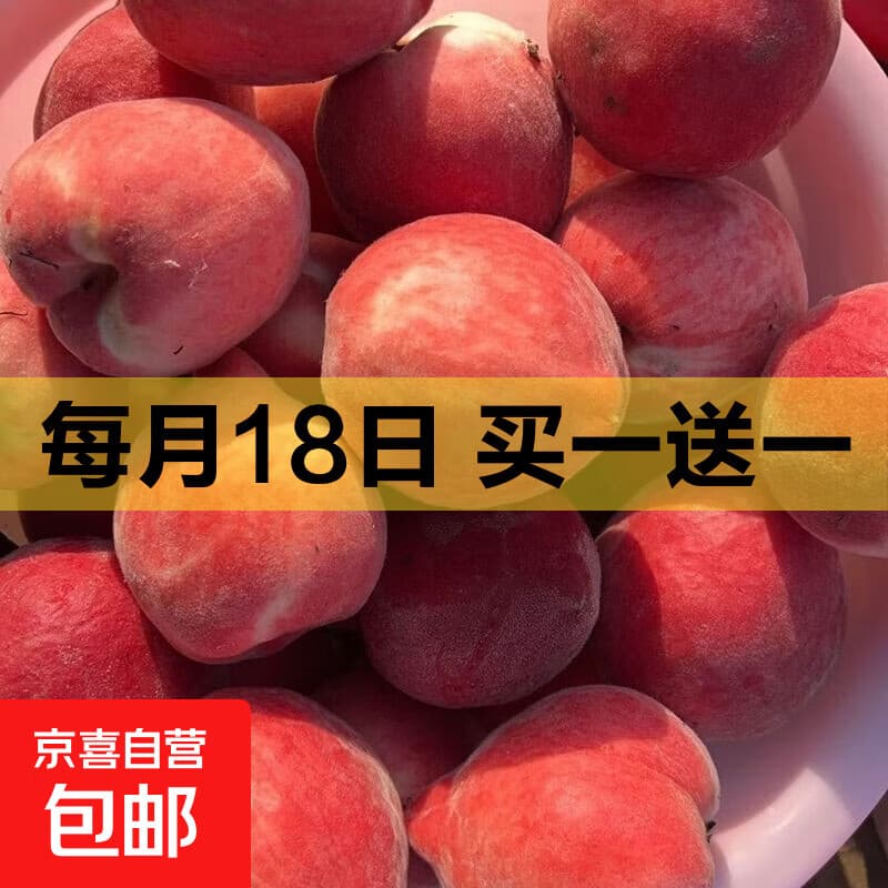【露天桃】山西头茬水蜜桃新鲜时令应急水果大毛桃子整箱 【尝鲜】1斤装 2-4粒大果(单果100g+) - 商品图1