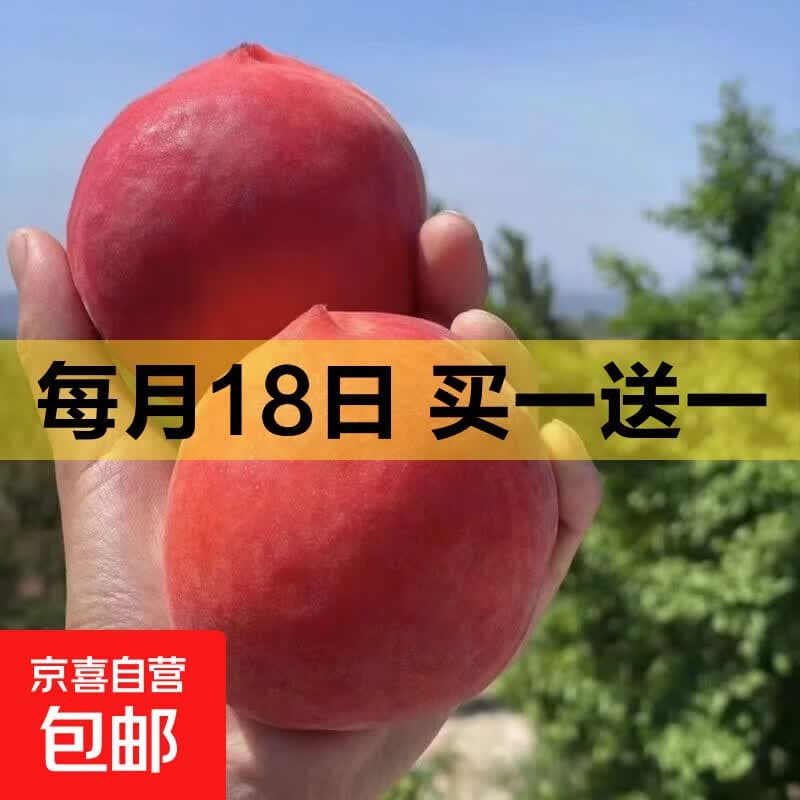 【露天桃】湖北头茬水蜜桃新鲜时令应急水果大毛桃子整箱 带箱2.5斤果王 净重2斤(单果140g+) - 商品图1