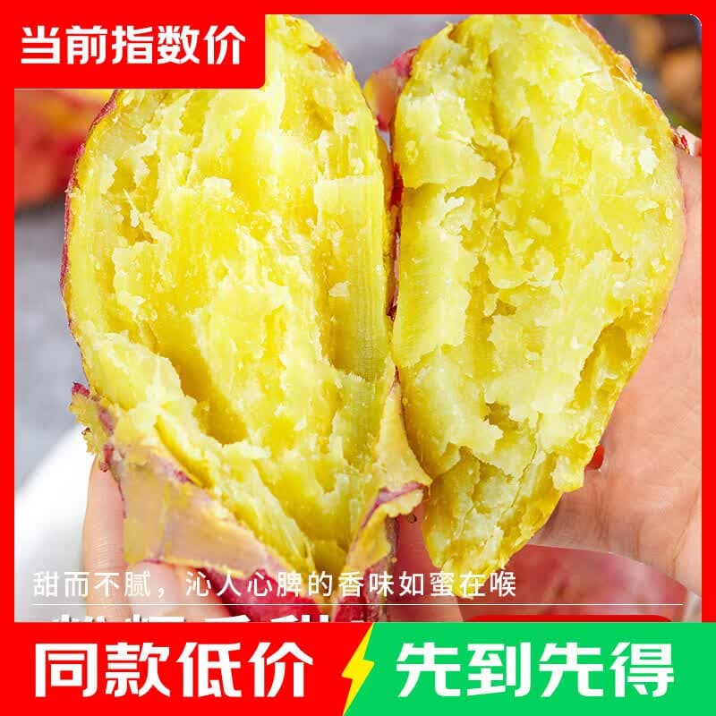 陕西正宗板栗薯黄心板栗红薯干噎红薯粉面香甜新鲜现挖源头直发 含箱5斤 小果【单果2两-4两】 粉糯香甜 - 商品图1