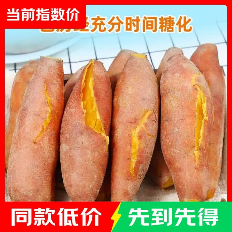 沙地蜜薯九龙蜜 小果单果100g起 带箱5斤净重4.5斤 带箱 中小果 - 商品图1