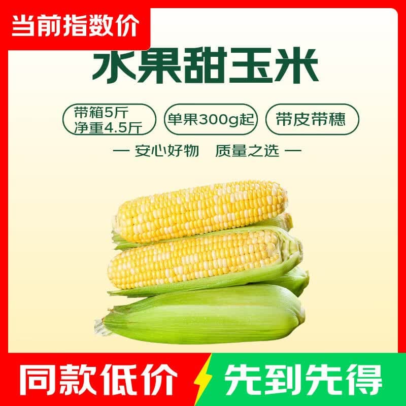 水果甜玉米(单根300g+) 带箱5斤 净重4.5斤 - 商品图1