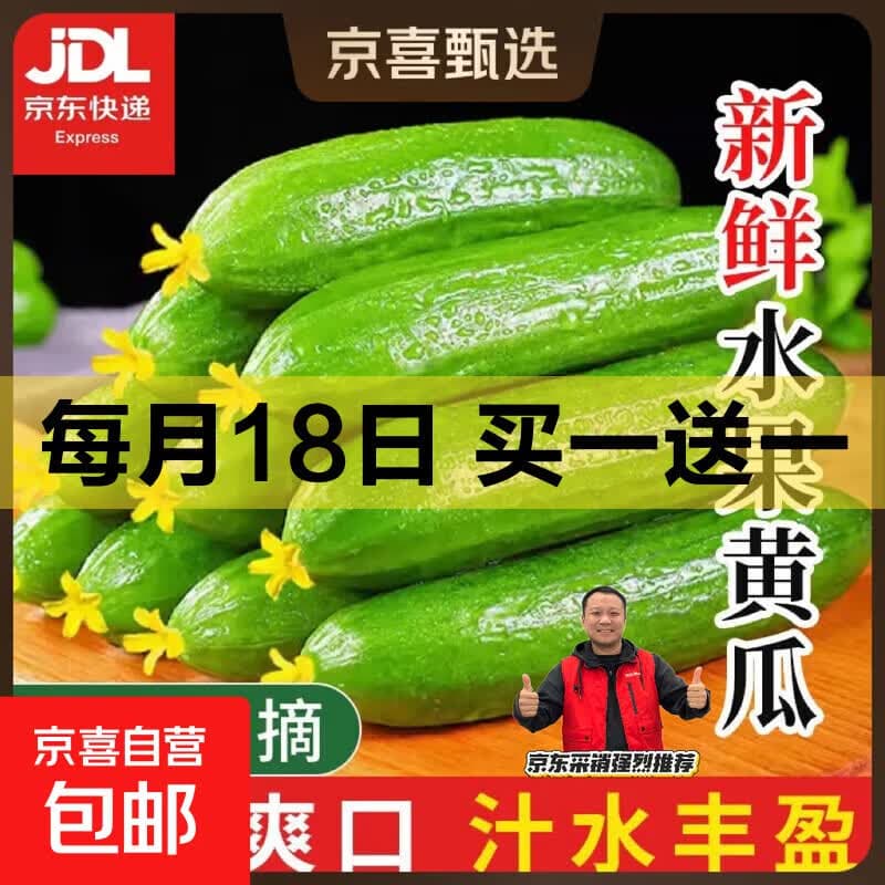 【超市品质】山东新鲜水果黄瓜嫩青瓜生吃蘸酱生鲜蔬菜减肥搭配 水果黄瓜 1斤 (净重0.8斤) - 商品图1