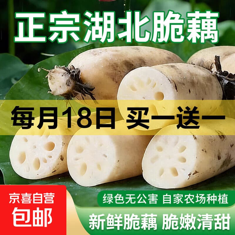 2026湖北洪湖莲藕新鲜九孔水果莲藕生吃清甜凉拌国家地标特产蔬菜 新鲜莲藕1斤净重 - 商品图1