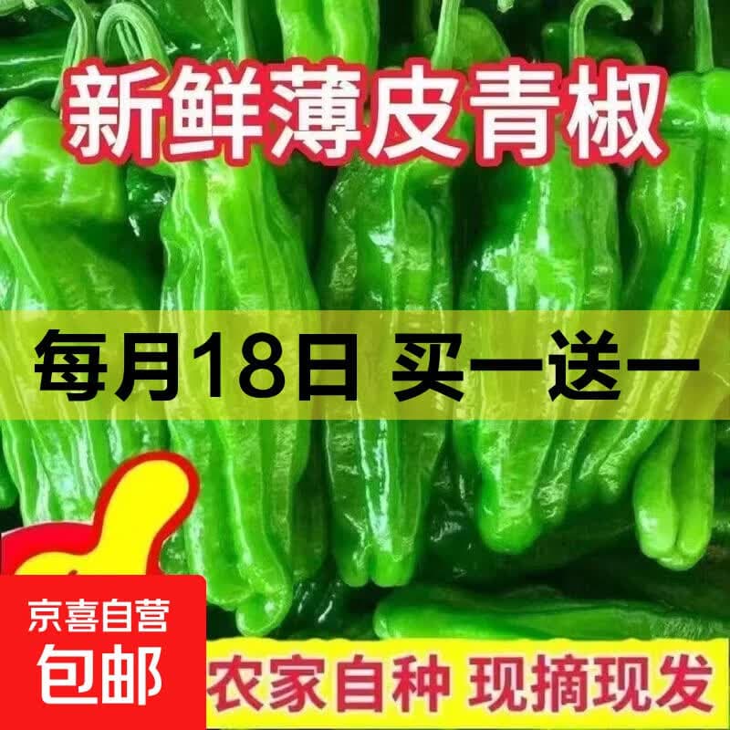 薄皮苏椒芜湖椒超薄皮微微辣鲜脆青椒彩椒 新鲜绿尖椒1斤 - 商品图1