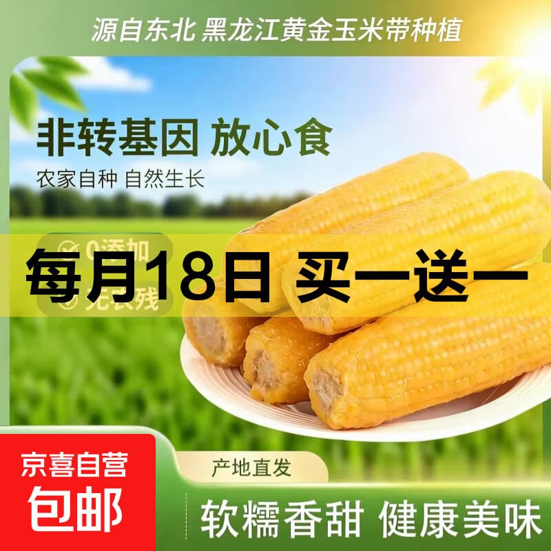 今年东北黄糯玉米香糯玉米早餐真空包装东北粘糯玉米棒黄金甜玉米 东北黄糯玉米220g*4支 - 商品图1