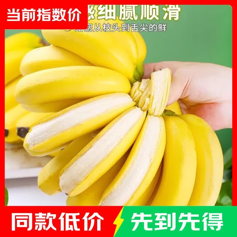 正宗高山香蕉 青蕉发货 自然熟更好吃 香蕉带箱4斤单根蕉 - 商品图1