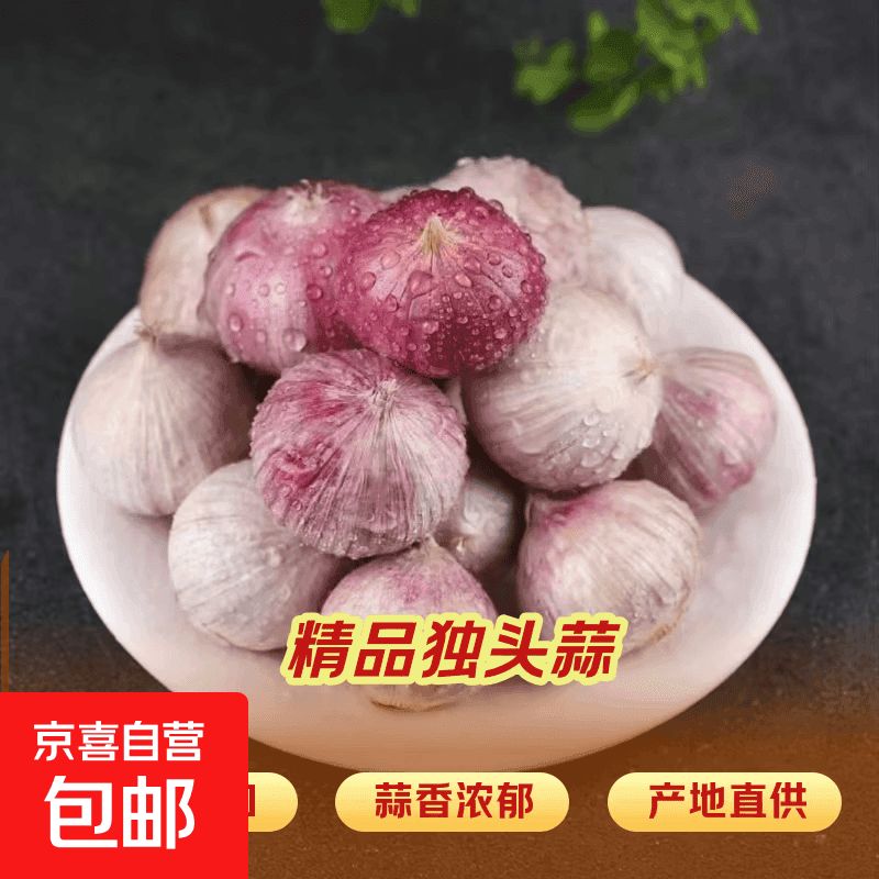 京喜加【东东农场专供】云南独头蒜干蒜果辛辣可口 大果直径3.0左右(14头≤200克) - 商品图1