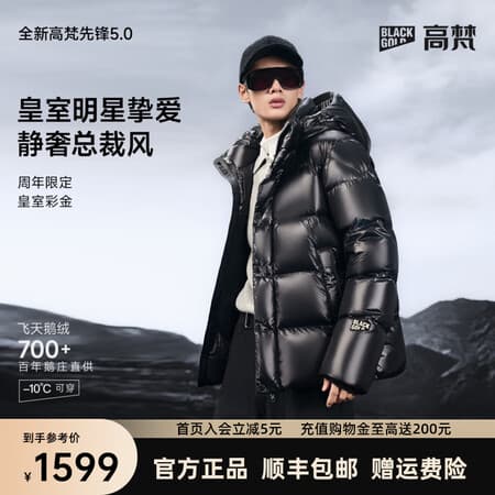 高梵【明星同款】黑金鹅绒服先锋5.0五格冬季可拆卸连帽男士羽绒服 黑色 L 【130-140斤 飞天鹅绒229g】 - 商品图1