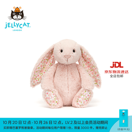 Jellycat花布邦尼兔动物毛绒玩偶兔子玩偶儿童娃娃送礼生日新婚礼物 花布胭脂粉色邦尼兔(彻蕊) Medium - 商品图1