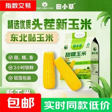 田小草东北黄糯玉米甜糯黄玉米真空包装即食黏玉米加热即食玉米代餐香甜 东北黄糯玉米220g*8只 - 商品图1